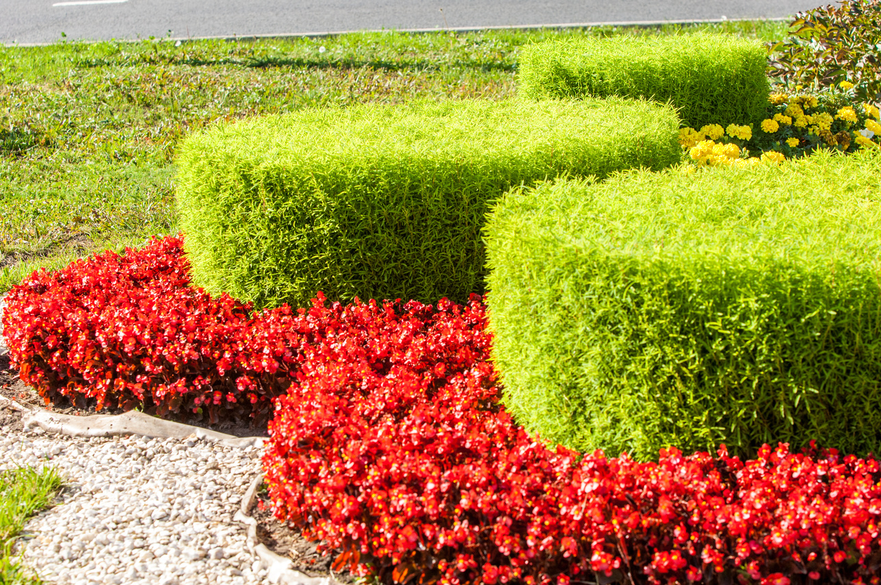 Urban beds. Landscape design in urban flowerbeds